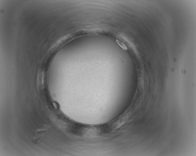 X0000081290115200701251702