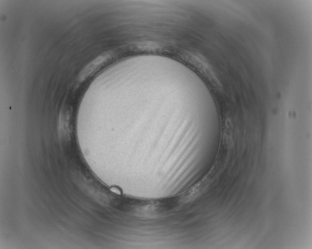 X0000081290116200701251702