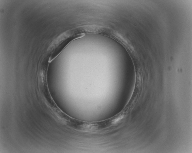 X0000081290117200701251702