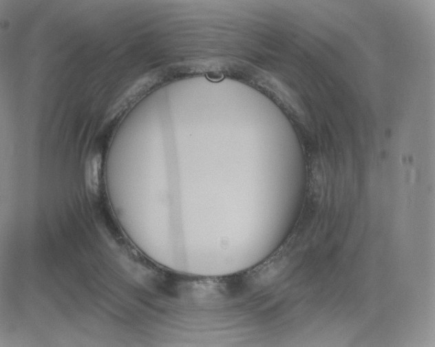 X0000081290118200701251702