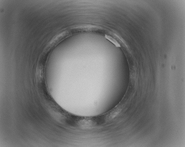 X0000081290119200701251702