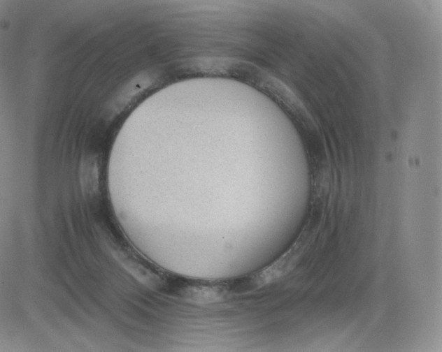 X0000081290120200701251702