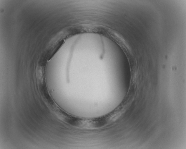 X0000081290121200701251702