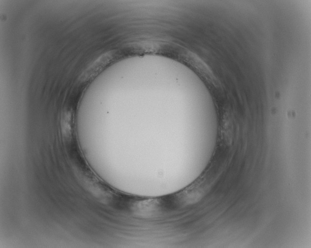 X0000081290122200701251702