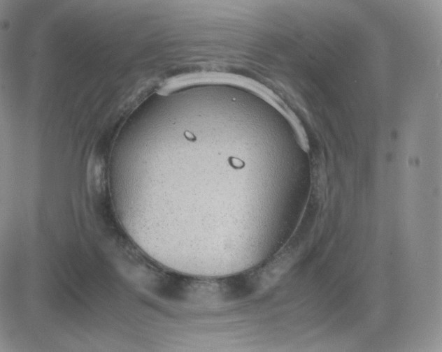 X0000081290123200701251702