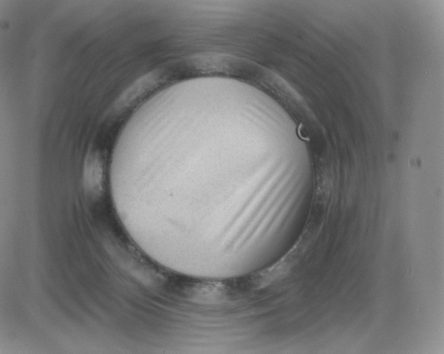 X0000081290124200701251702