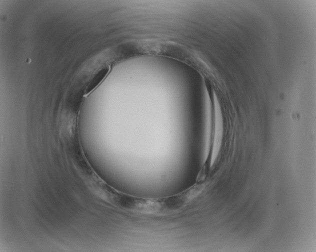 X0000081290125200701251702