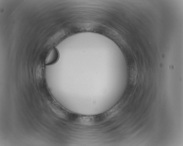 X0000081290126200701251702