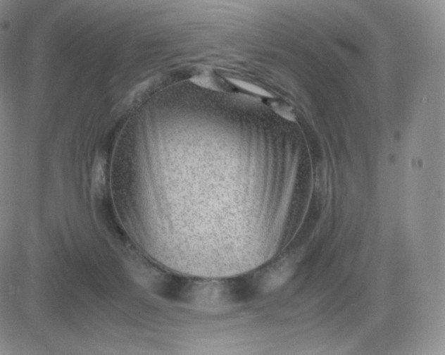 X0000081290127200701251702