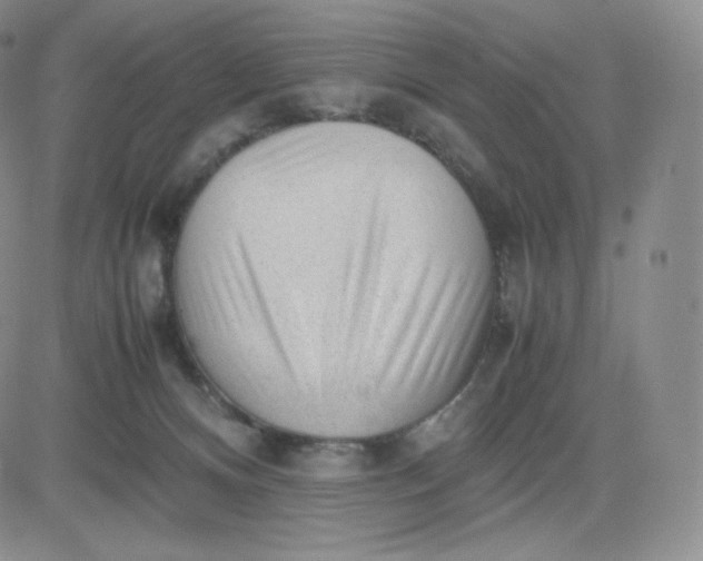 X0000081290128200701251702