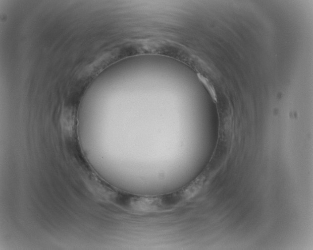 X0000081290129200701251702