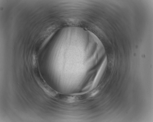 X0000081290130200701251702