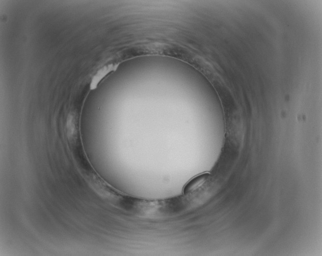 X0000081290131200701251702