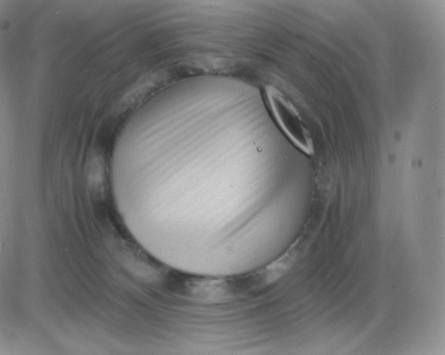 X0000081290132200701251702