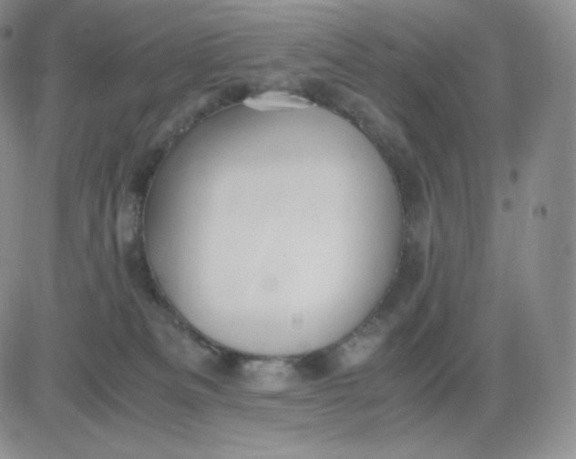 X0000081290133200701251702