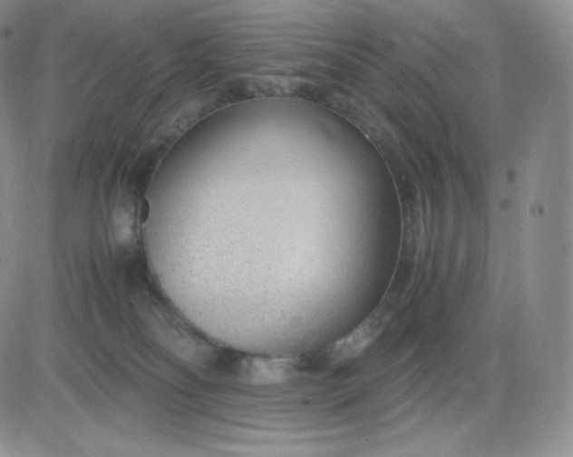 X0000081290134200701251702