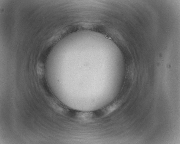 X0000081290135200701251702