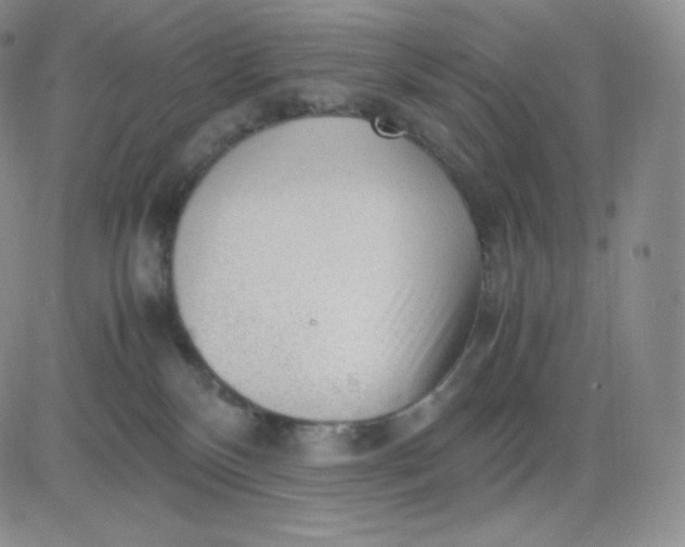 X0000081290136200701251702