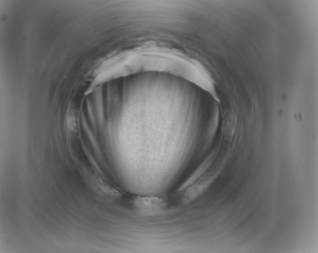 X0000081290137200701251702