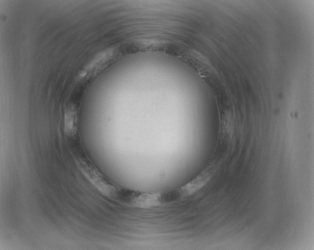 X0000081290138200701251702