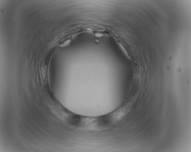 X0000081290139200701251702