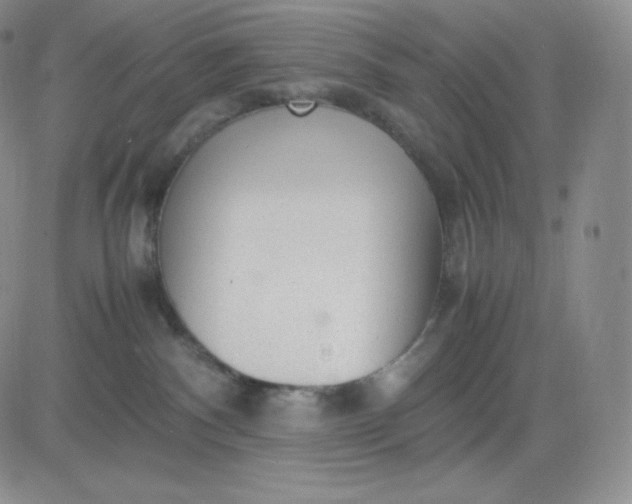 X0000081290140200701251702