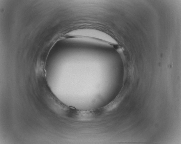 X0000081290141200701251702