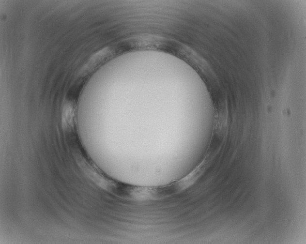 X0000081290142200701251702