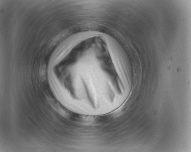 X0000081290144200701251702