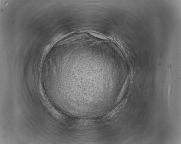 X0000081290145200701251701