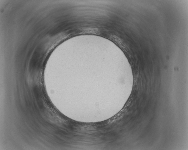 X0000081290146200701251701