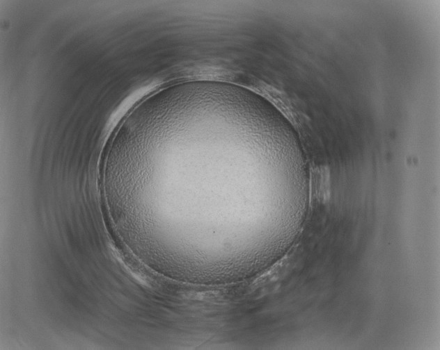 X0000081290147200701251701