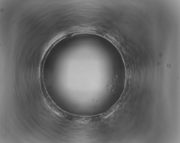 X0000081290148200701251701