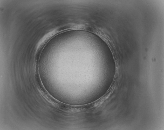 X0000081290149200701251701