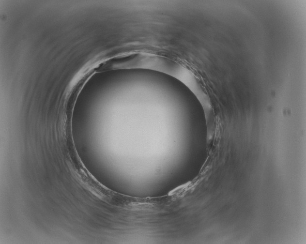 X0000081290150200701251701