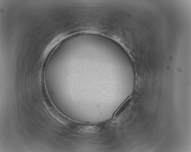 X0000081290151200701251701