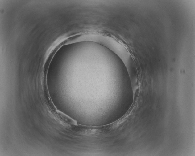 X0000081290152200701251701