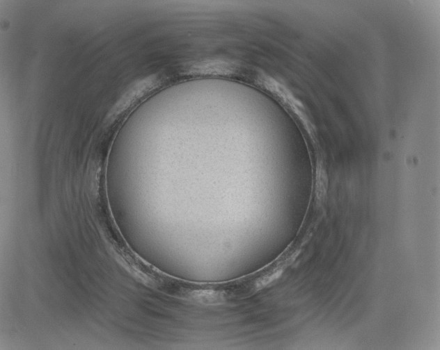 X0000081290153200701251701