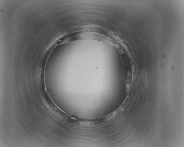 X0000081290154200701251701