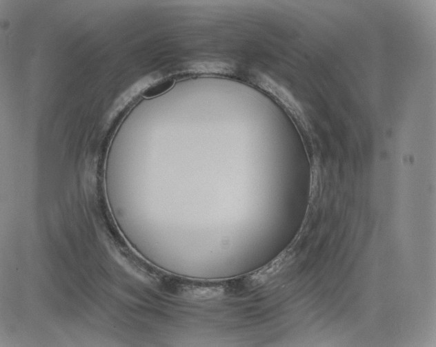 X0000081290155200701251701