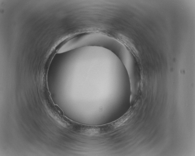 X0000081290156200701251701