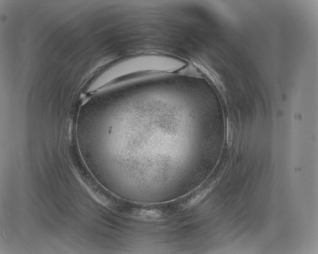 X0000081290157200701251701