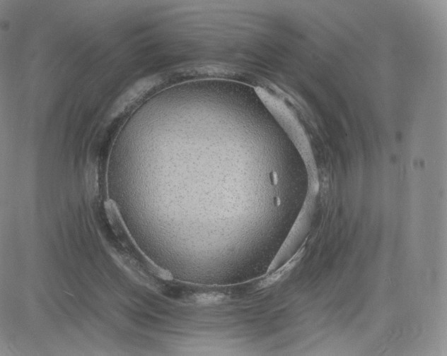 X0000081290158200701251701