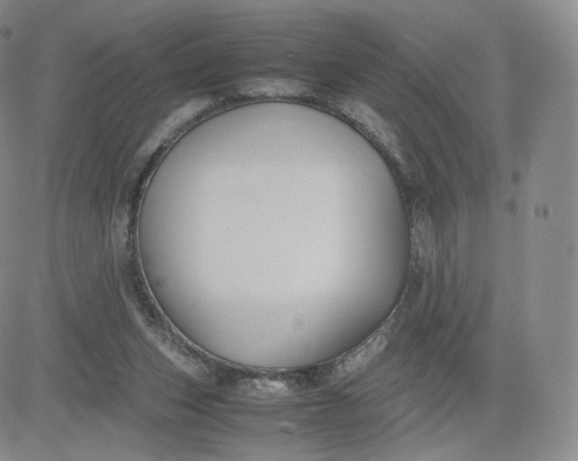 X0000081290159200701251701