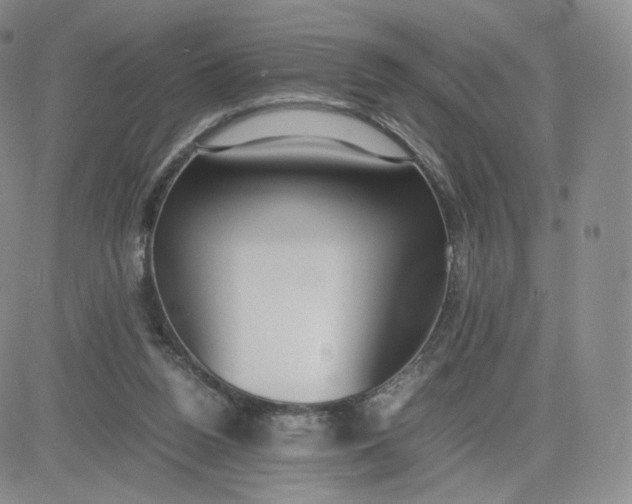 X0000081290160200701251701