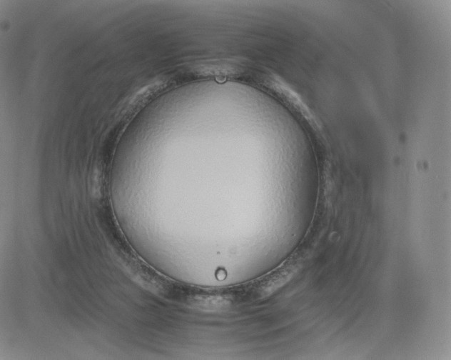 X0000081290161200701251701