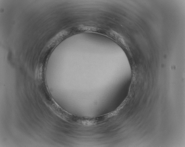 X0000081290163200701251702