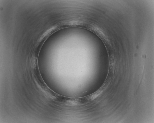 X0000081290164200701251702