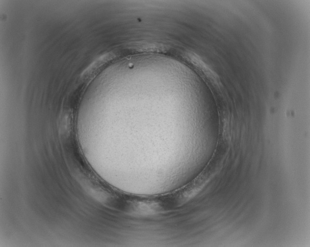 X0000081290165200701251702