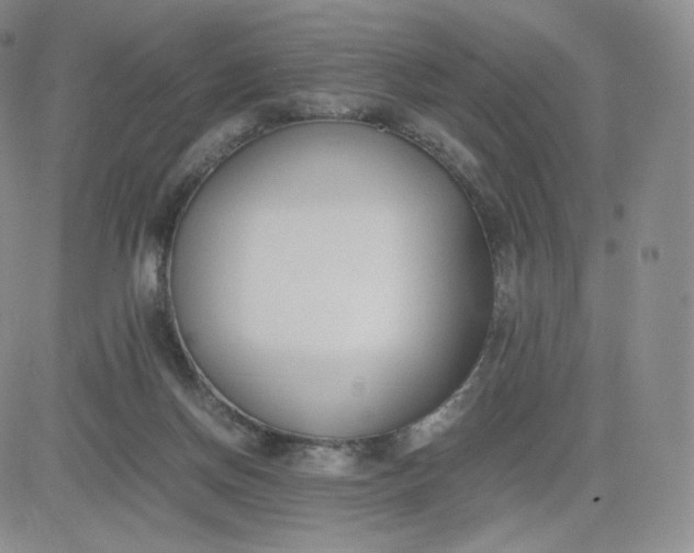 X0000081290166200701251702